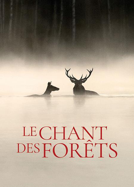 IL CANTO DELLA FORESTA (LE CHANT DES FORETS)