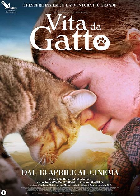 VITA DA GATTO