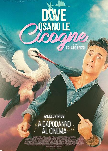 DOVE OSANO LE CICOGNE