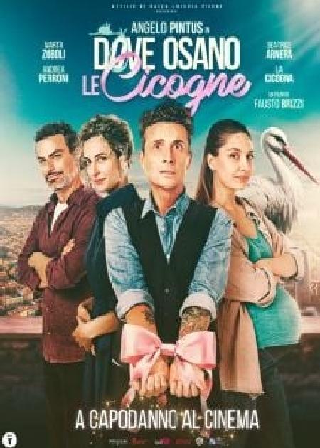DOVE OSANO LE CICOGNE