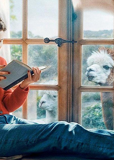 JANE AUSTEN HA STRAVOLTO LA MIA VITA (JANE AUSTEN A GÂCHÉ MA VIE)