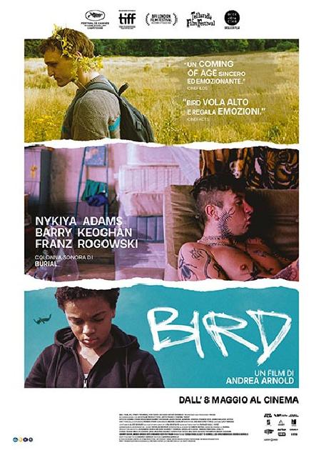 BIRD