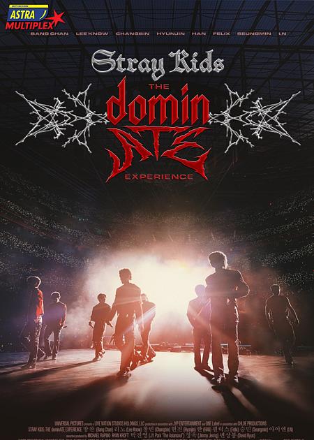 STRAY KIDS: THE DOMINATE EXPERIENCE
