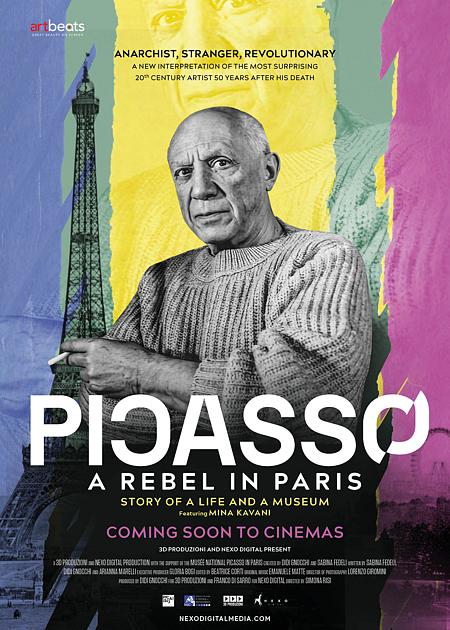 PICASSO A REBEL IN PARIS