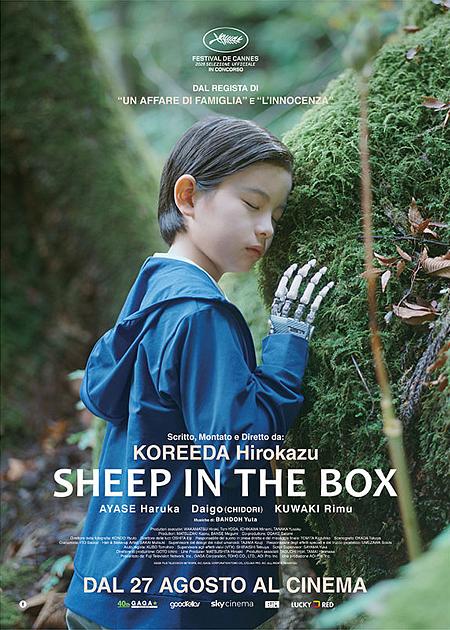 SHEEP IN THE BOX