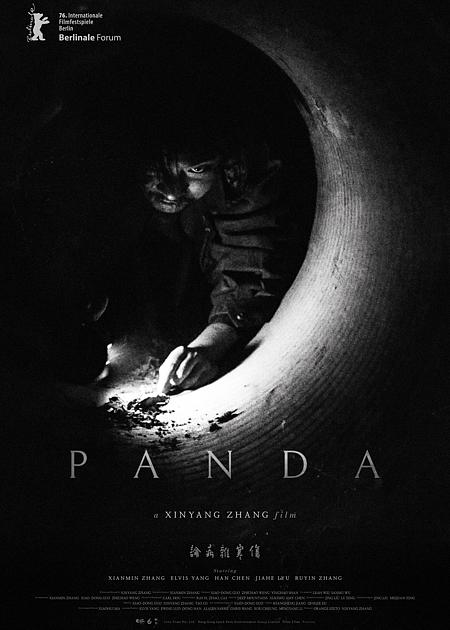 PANDA (伤寒杂病论)