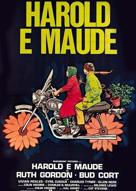 HAROLD E MAUDE