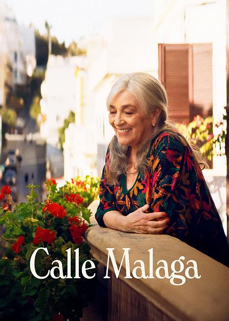 V.O.SOTT.ITA CALLE MALAGA (CALLE MALAGA)