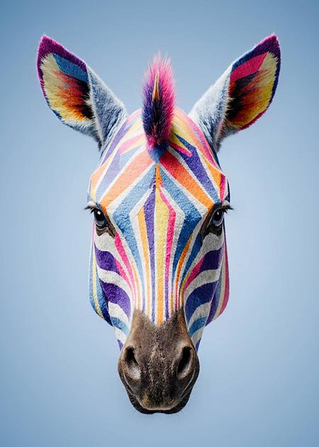 FILM VINCITORE FESCAAAL 2026