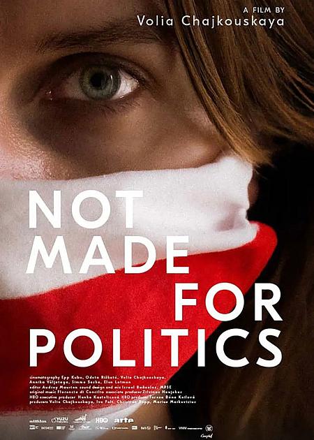 Not made for politics