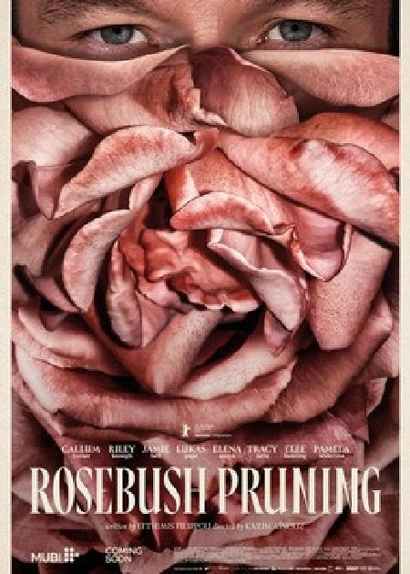 ROSEBUSH PRUNING