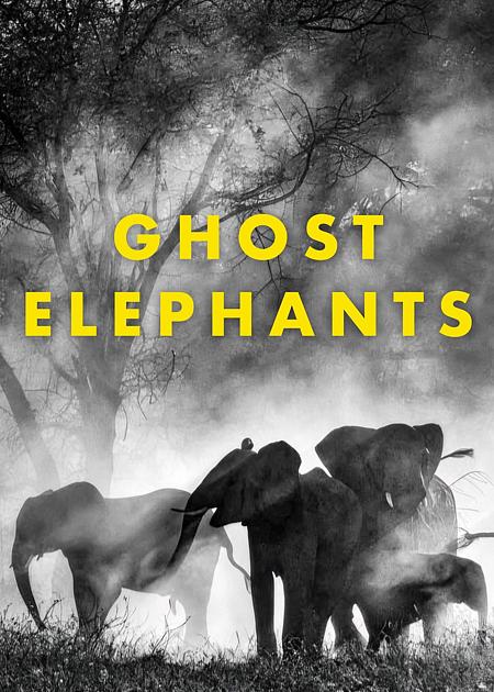 GHOST ELEPHANTS