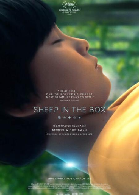 SHEEP IN THE BOX