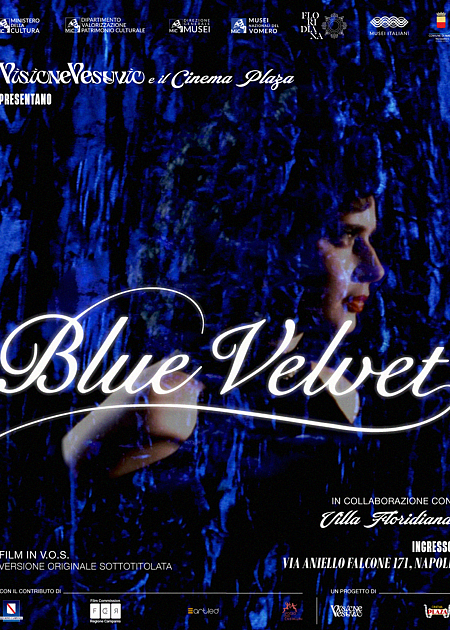 VELLUTO BLU (BLUE VELVET)