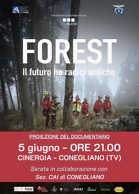 FOREST - IL FUTURO HA RADICI ANTICHE