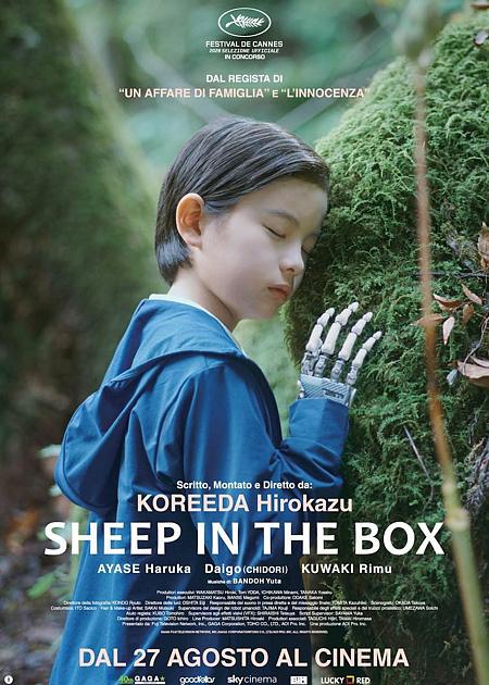 SHEEP IN THE BOX