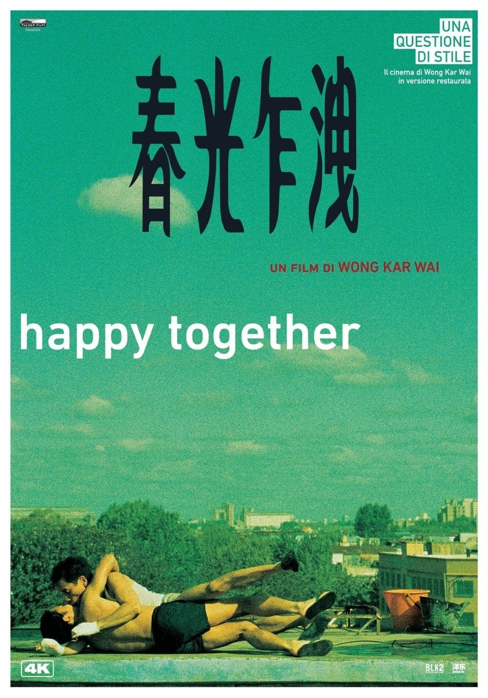 Locandina del film Happy together