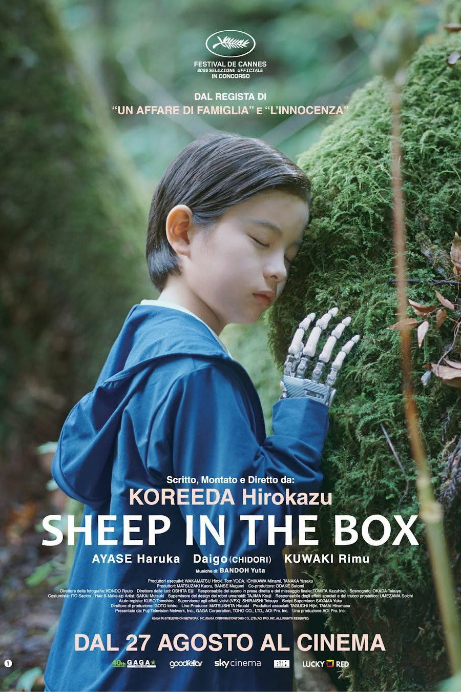 Locandina del film Sheep in the box