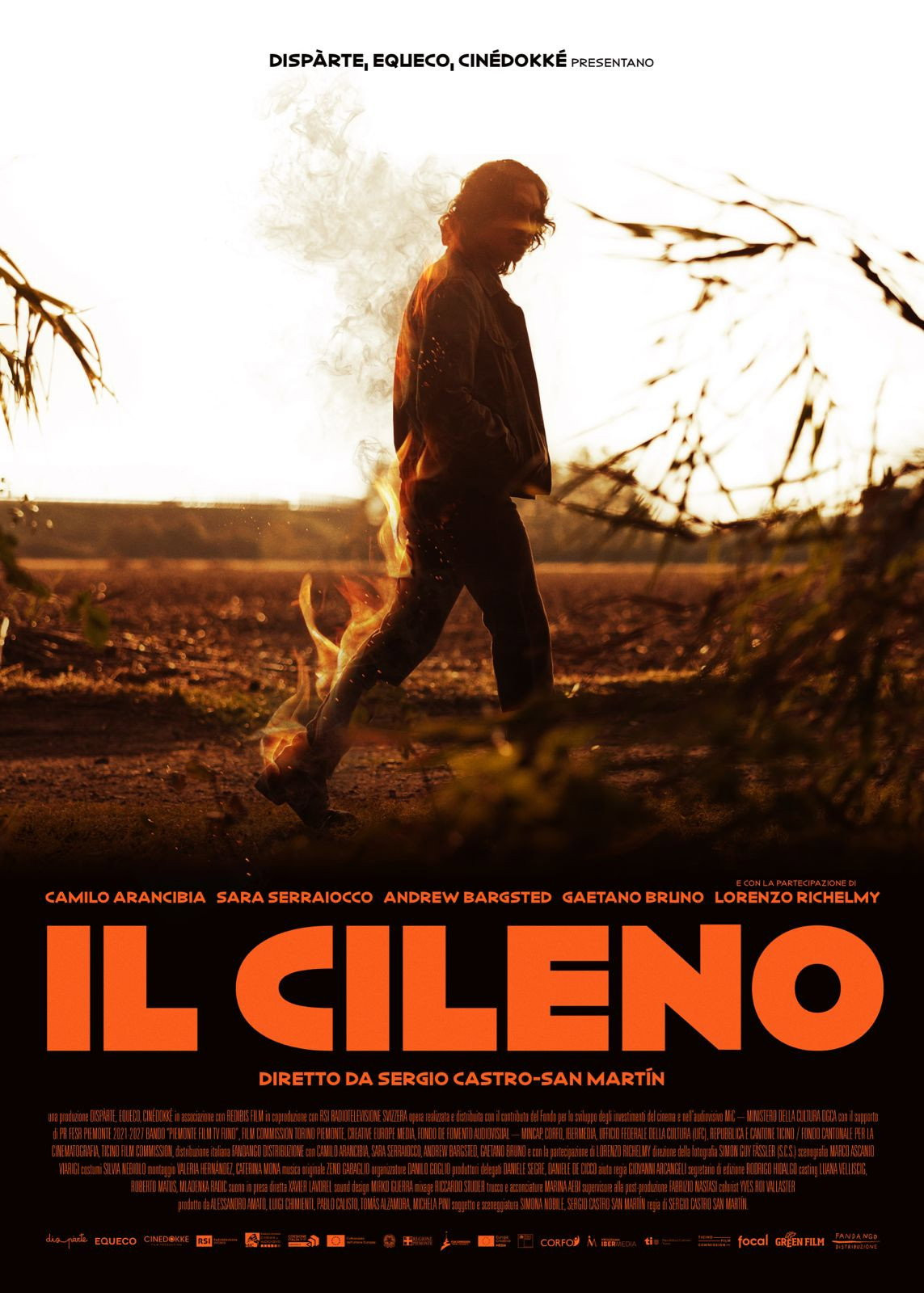 Locandina del film Il cileno