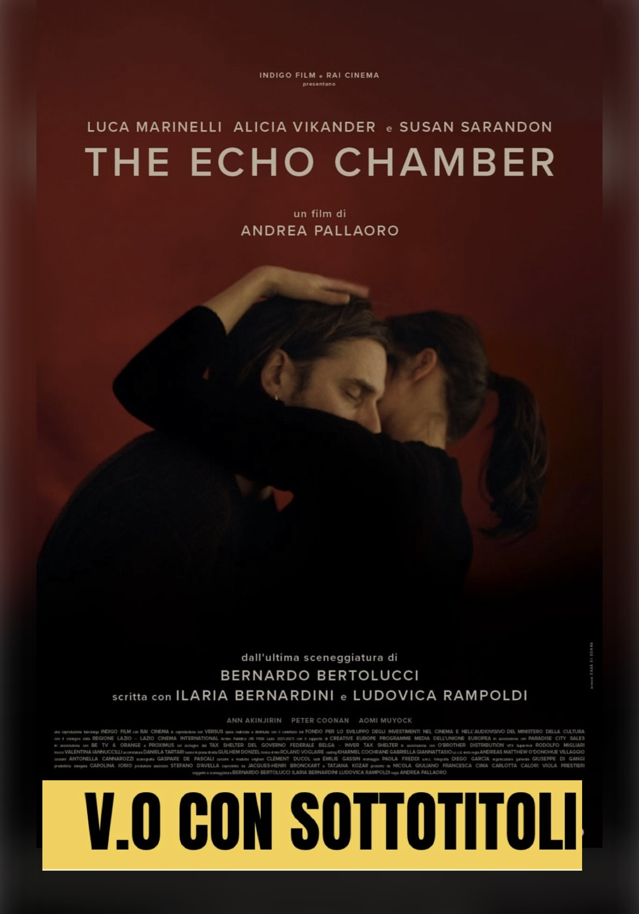 Locandina del film The echo chamber