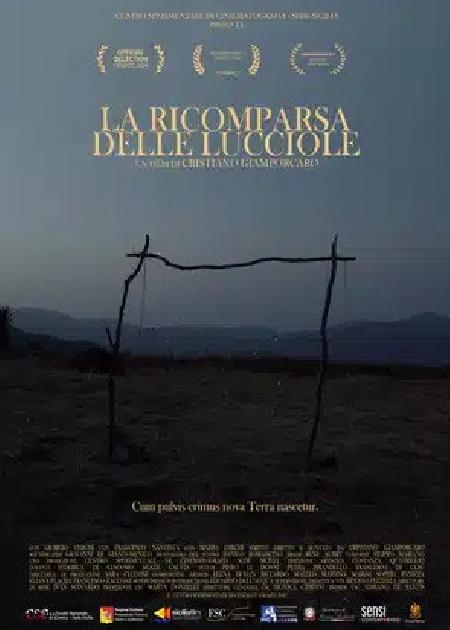 LA RICOMPARSA DELLE LUCCIOLE 