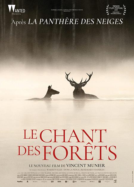 IL CANTO DELLA FORESTA (LE CHANT DES FORETS)