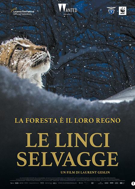 LE LINCI SELVAGGE