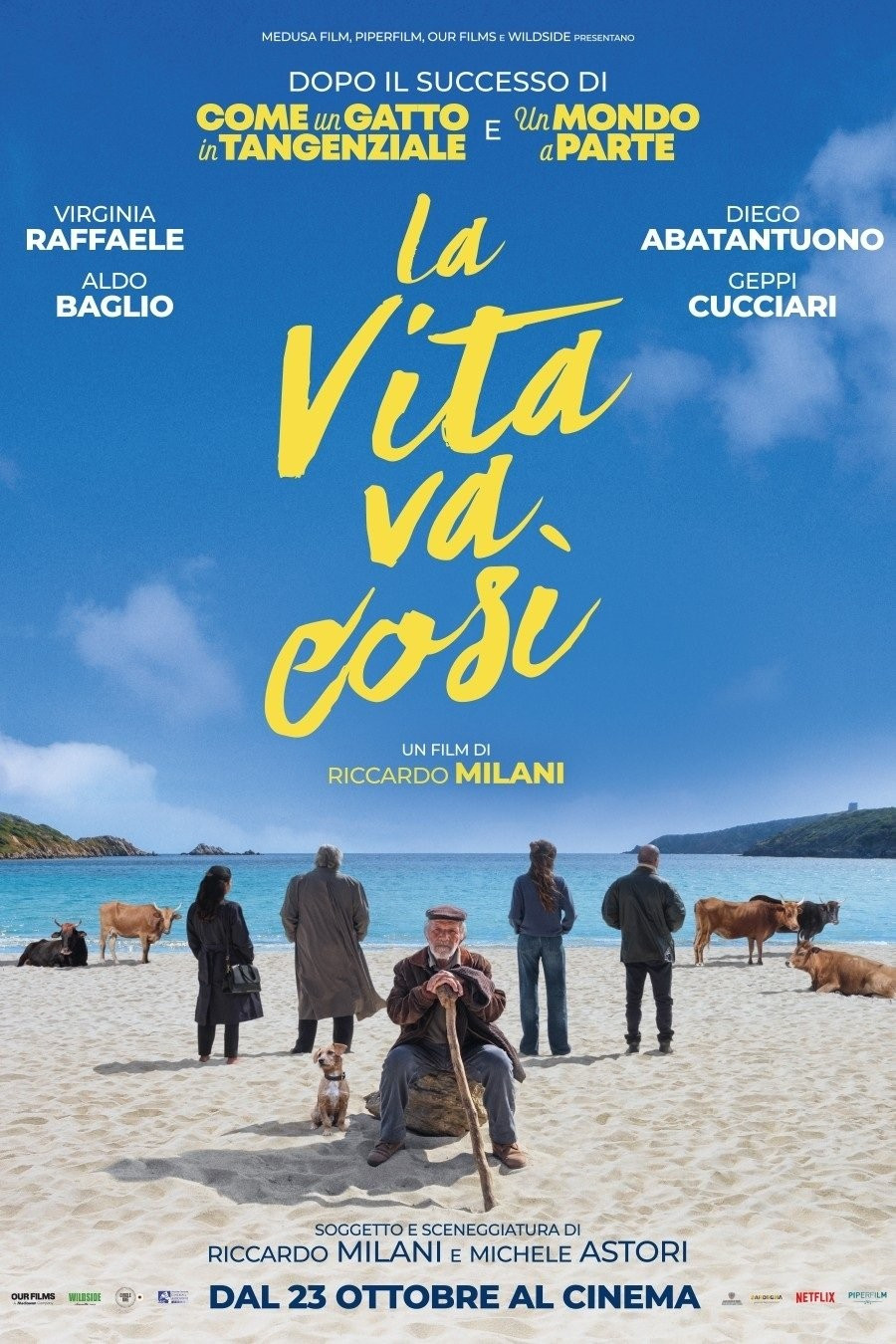 Locandina del film La vita va cosi'