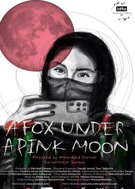 A FOX UNDER A PINK MOON