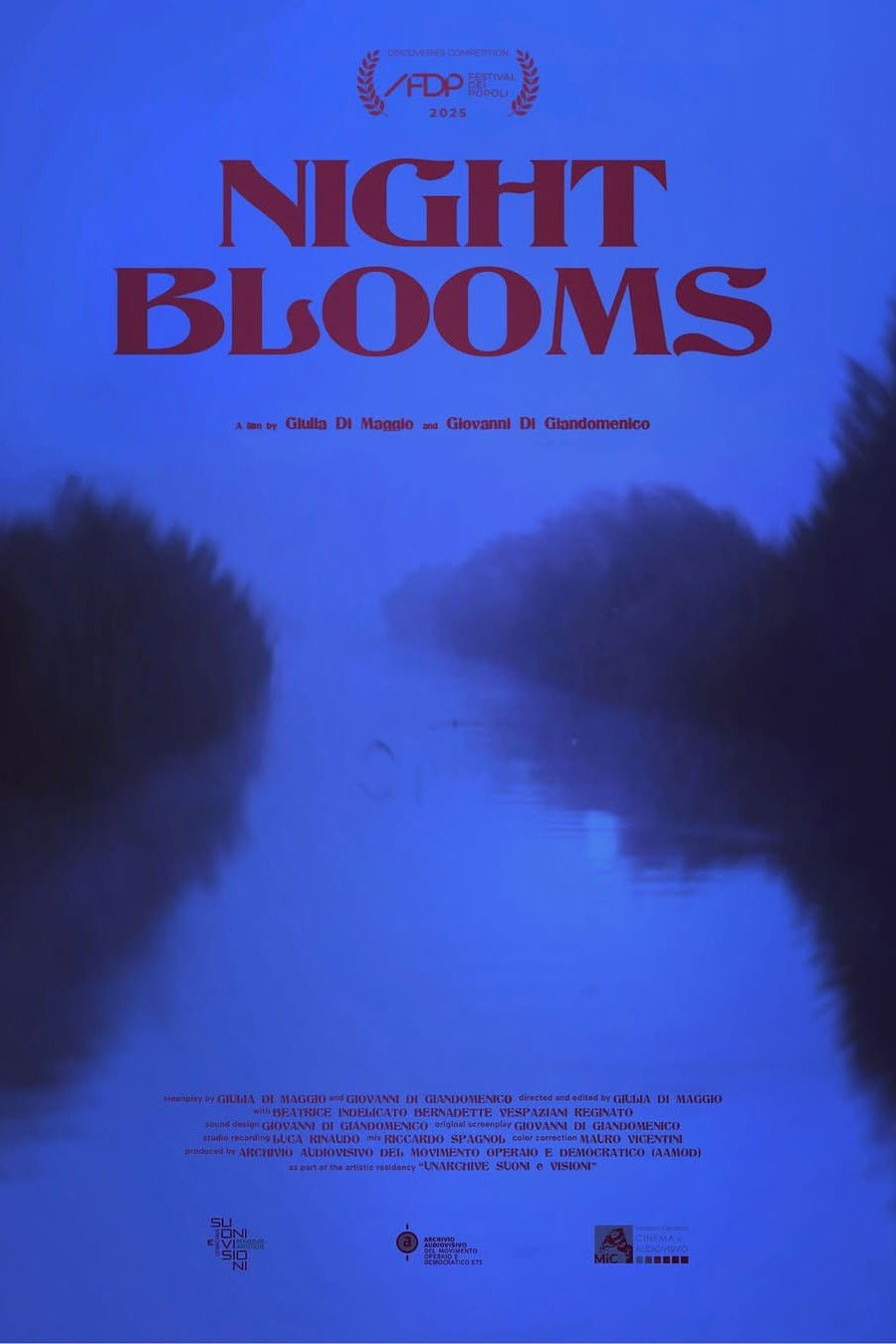 Locandina del film Night blooms
