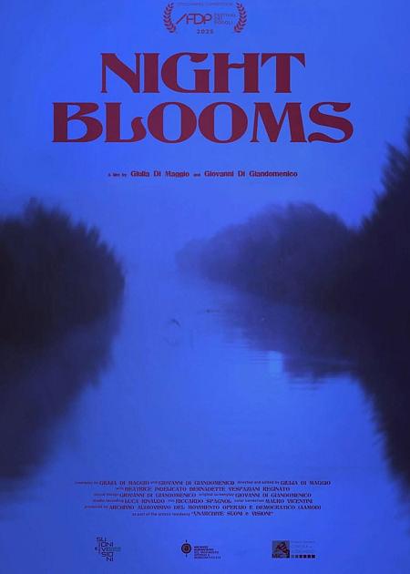 NIGHT BLOOMS
