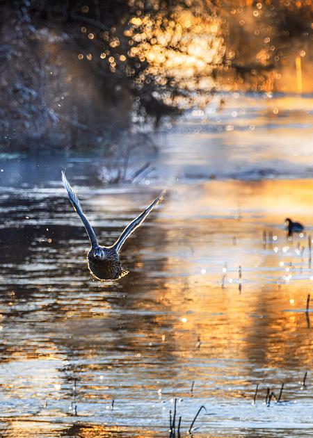 Confluenze di sguardi