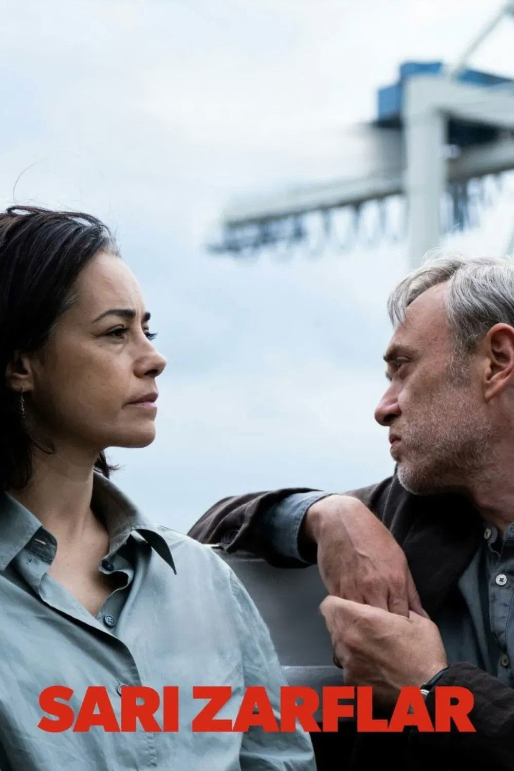 Locandina del film Yellow letters