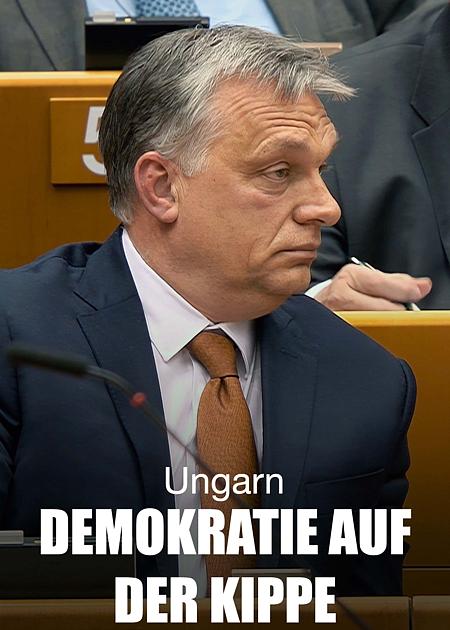 DEMOCRACY NOIR
