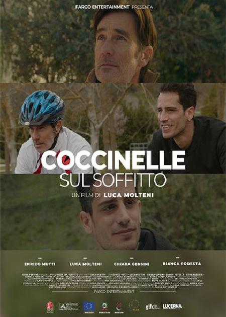 COCCINELLE SUL SOFFITTO