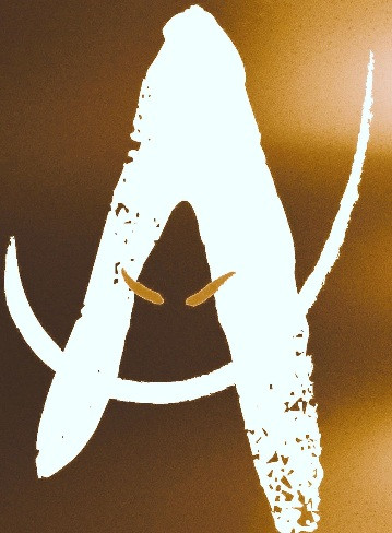 The austen - how to survive darkness