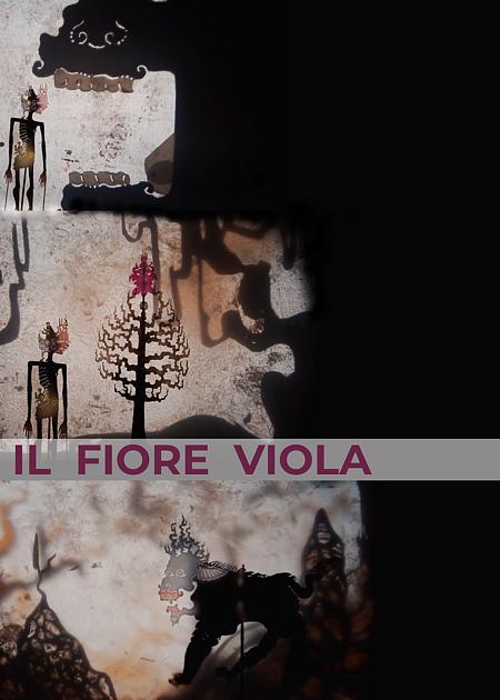 IL FIORE VIOLA