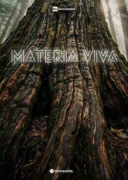 MATERIA VIVA