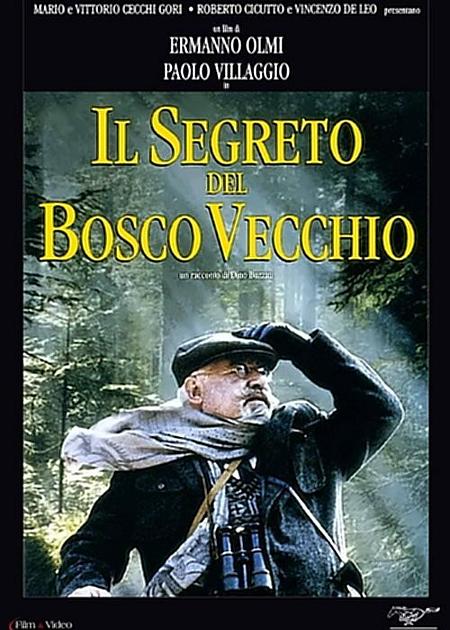 IL SEGRETO DEL BOSCO VECCHIO