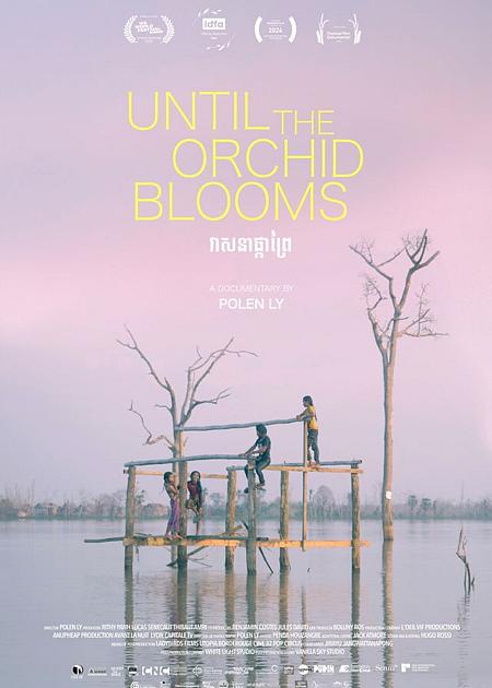 PICCOLE LINGUE DOC - UNTIL THE ORCHID BLOOMS