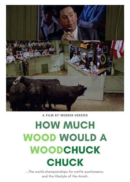 HOW MUCH WOOD WOULD A WOODCHUCK CHUCK