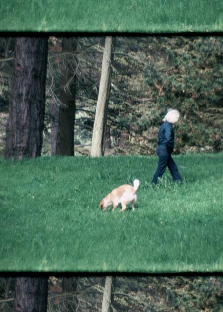 ARCHIVIO APERTO 2025- CORTOMETRAGGI
