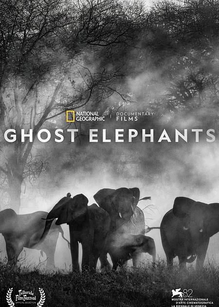 GHOST ELEPHANTS