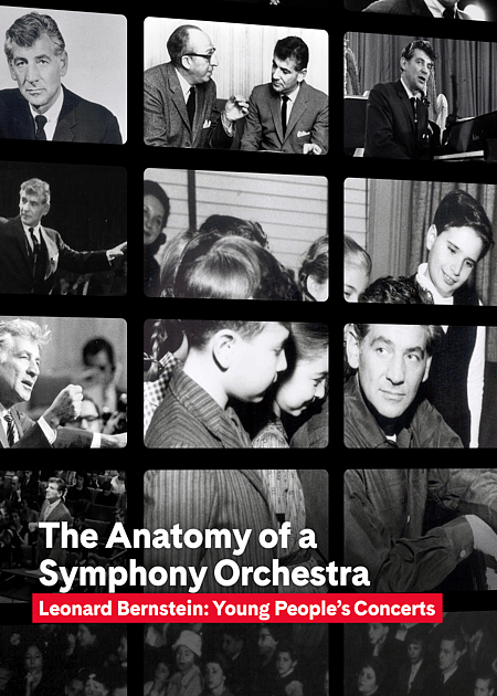 THE ANATOMY OF A SYMPHONY ORCHESTRA