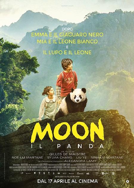 MOON IL PANDA