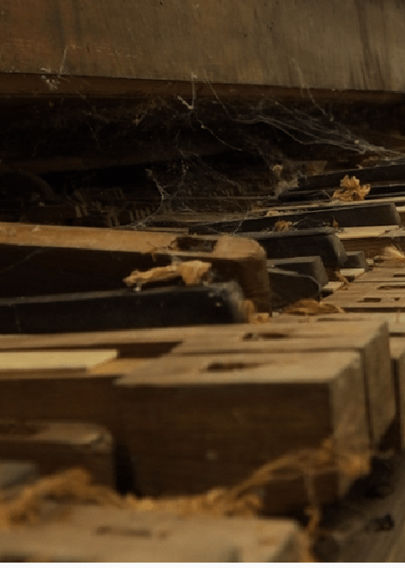 PERSO[A]NOMALIA. LA VITA IMMORTALE DEGLI OGGETTI