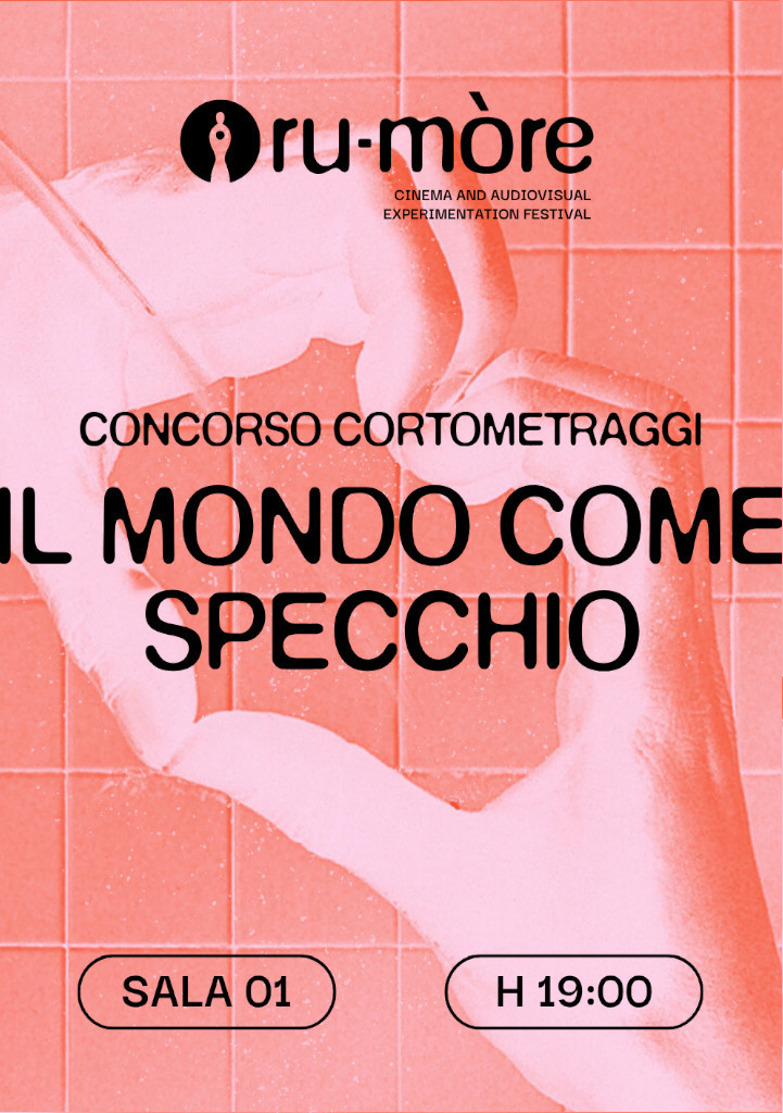 Il mondo come specchio poster