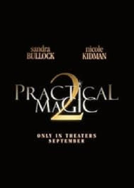 AMORI & INCANTESIMI 2 (PRACTICAL MAGIC 2)