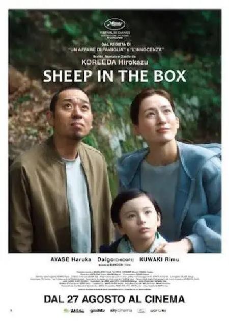 SHEEP IN THE BOX - V. O.