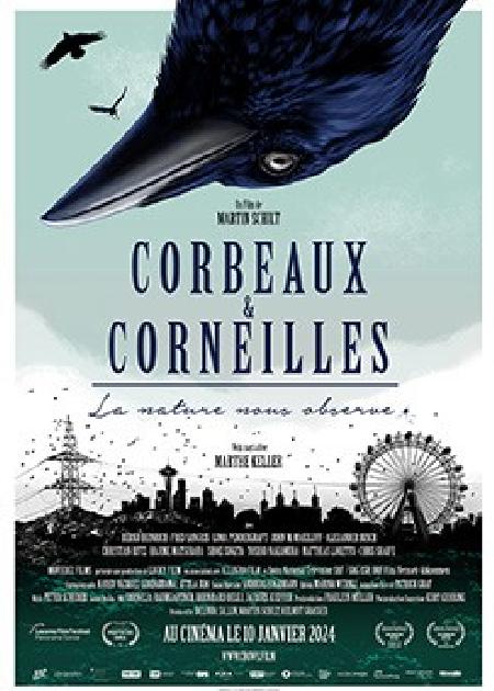 CORBEAUX & CORNEILLES